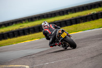 PJ-Motorsport-2019;anglesey-no-limits-trackday;anglesey-photographs;anglesey-trackday-photographs;enduro-digital-images;event-digital-images;eventdigitalimages;no-limits-trackdays;peter-wileman-photography;racing-digital-images;trac-mon;trackday-digital-images;trackday-photos;ty-croes